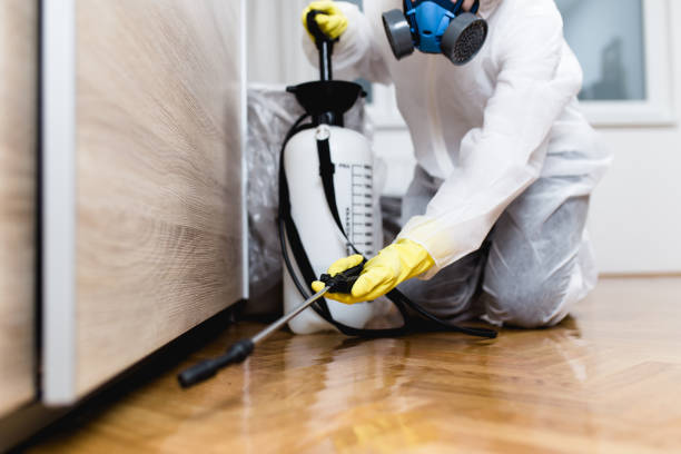 Best Termite Control Services  in Rheems, PA
