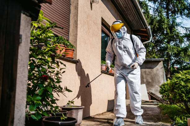 Best Cockroach Control Services  in Rheems, PA