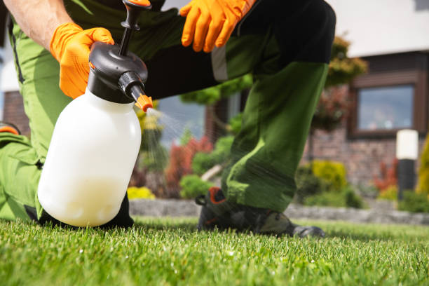 Best Rat Extermination Near Me  in Rheems, PA