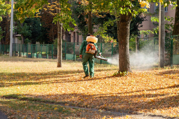 Best Mosquito Control Services  in Rheems, PA