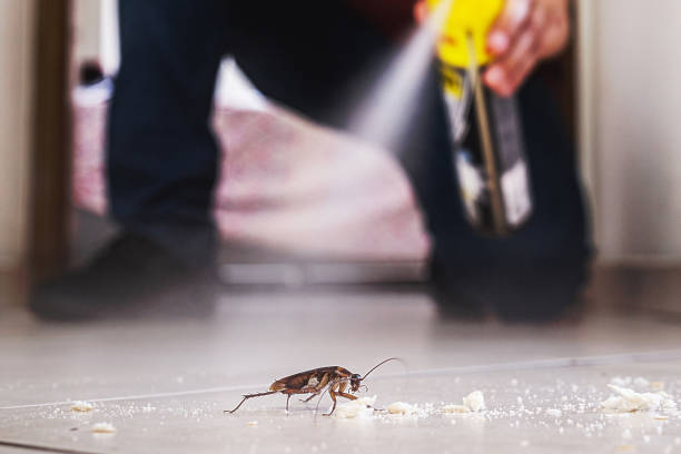 Best Commercial Pest Control Services  in Rheems, PA